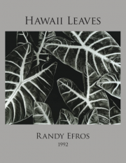 Hawaii Leaves Book_Efros